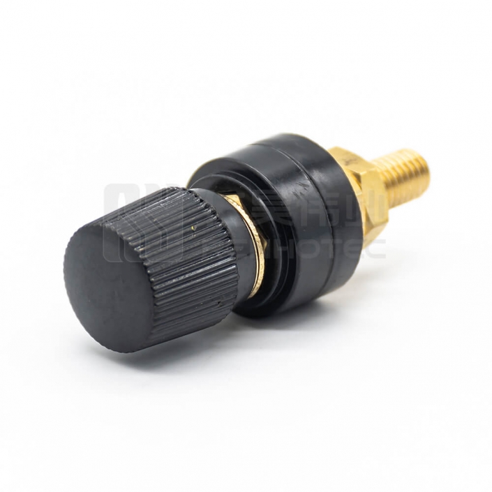 DS-555-B (4)