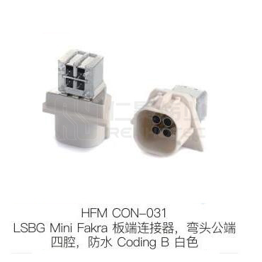 HFM-CON-031